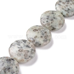 Jaspe de sésame naturel / perles de jaspe kiwi, plat rond, 31~32x11mm, Trou: 1.4mm, Environ 13 pcs/chapelet, 15.94'' (40.5 cm)