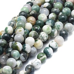 Chapelets de perles en agate d'arbre naturelle, ronde, 8mm, Trou: 1mm, Environ 49 pcs/chapelet, 15.75 pouce (40 cm)