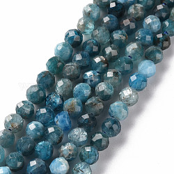 Chapelets de perles en apatite naturelle, ronde, facette, 4mm, Trou: 0.6mm, Environ 95~97 pcs/chapelet, 15.35 pouce (39 cm)