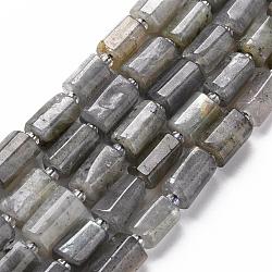 Chapelets de perles en labradorite naturelle , facette, colonne, 8~11x6~8x5~7mm, Trou: 1mm, Environ 15~17 pcs/chapelet, 7.28~7.48 pouce