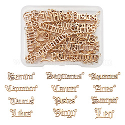 Fashewelry 2 Sets Legierungsanhänger, 12 Sternbild Buchstabenzeichen, Licht Gold, 9x38 mm, 1 Stück / Sternbild