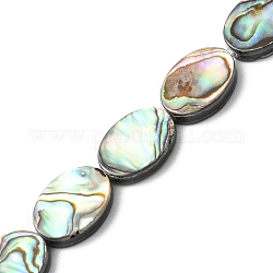 Natur Paua Muschel Perlen Stränge, Oval, 14x10~10.5x3~3.5 mm, Bohrung: 0.5 mm, ca. 28 Stk. / Strang, 16.02 Zoll (40.7 cm)