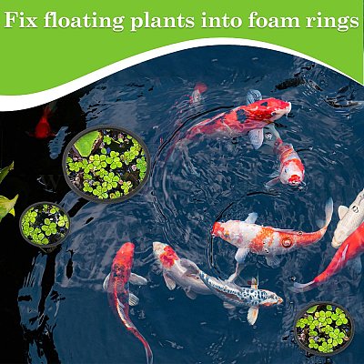 1 комплект колец для кормления рыб из вспененного eva AJEW-CN0002-51A-1