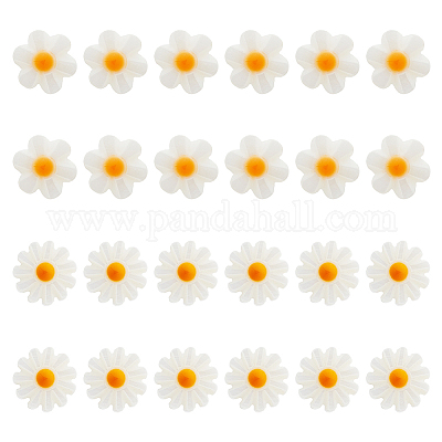 24шт 2 стиля натуральные бусины из пресноводных ракушек SHEL-HS0001-05-1