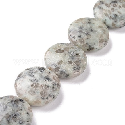 Fili di perle di diaspro / kiwi di sesamo naturale G-P469-03-1