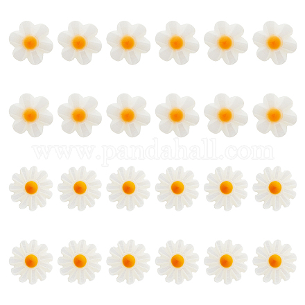 24шт 2 стиля натуральные бусины из пресноводных ракушек SHEL-HS0001-05-1