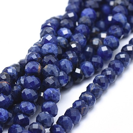 Natural Sodalite Beads Strands G-I249-D24-1