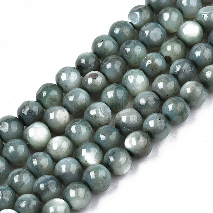 Eau douce naturelle de coquillage perles brins X-SHEL-N003-24-B01-1