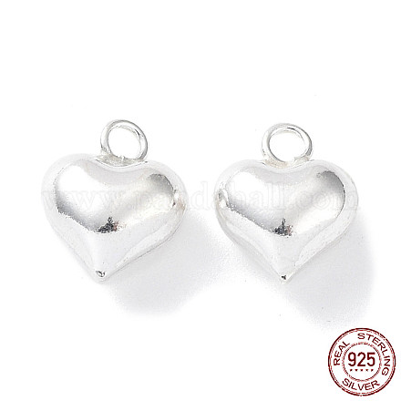 925 Sterling Silver Charms STER-H106-01A-S-1