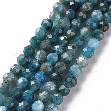 Chapelets de perles en apatite naturelle G-S362-110C-1