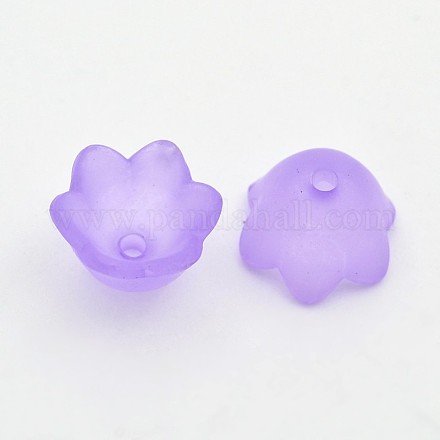 Transparent Acrylic Beads FACR-R017-01-1