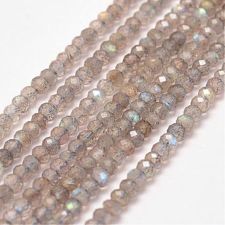 Chapelets de perles en labradorite naturelle G-P279-60-3mm-1