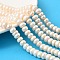 Natural Cultured Freshwater Pearl Beads Strands, Rondelle, Grade 4A, Old Lace, 8~9mm, Hole: 0.7mm, about 73pcs/strand, 14.17''(36cm)