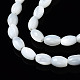 Chapelets de perles de coquille de trochid / trochus coquille SSHEL-S266-021A-01-3