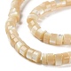 Brins de perles de coquillages naturels de troca BSHE-E030-09B-02-3