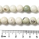 Fili di perline di diaspro naturale dendritico G-H298-A15-04-5