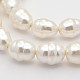 Oval Shell Pearl Bead Strands BSHE-M008-07-1