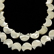 Natural White Shell Beads Strands X-SSHEL-G16B-1