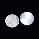 Cabuchones de conchas blancas naturales SSHEL-D083-08-2
