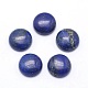 Naturales lapis lazuli cabochons G-P393-R11-12mm-1