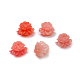 Perles de coquille&nbsp;X-CORA-D032-16-1