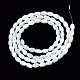 Fili di perle di conchiglia trochid naturale / trochus SSHEL-S266-021A-01-2