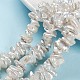 Hebras de perlas keshi de perlas barrocas naturales PEAR-S012-67-1