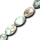Natur Paua Muschel Perlen Stränge SHEL-F006-06-1