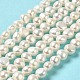 Natural Cultured Freshwater Pearl Beads Strands PEAR-E017-06-2