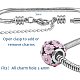 Pandahall elite 304 bracelets de chaînes de serpent européens en acier inoxydable STAS-PH0006-03B-2