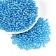 Прозрачное стекло Бисер SEED-N007-33A-06-1