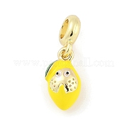 Латунные эмалевые фрукты европейские подвески KK-Z090-08G-01