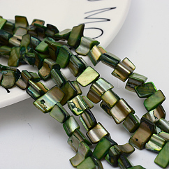 Shell perle naturali fili, verde, 8~17.5x5~8x5mm, Foro: 1 mm, 16 pollice / filo, 40 pcs / Filo