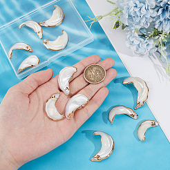 12 шт. подвески из натуральной морской ракушки SHEL-GA0001-29