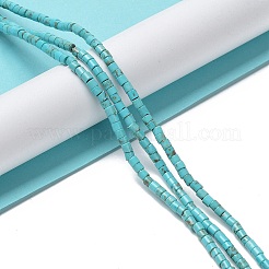 Природные Говлит бисер нитей G-E604-A02-C