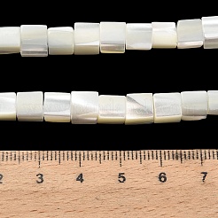 Natürliche Trochidschale / Trochusschalenperlenstränge&nbsp;SHEL-C010-05A