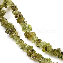 Природный перидот бисер нитей G-P332-48-02