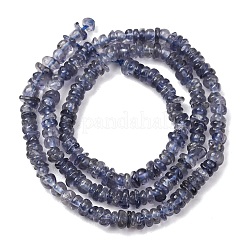Naturperlen Stränge iolite&nbsp;G-K427-C01-01