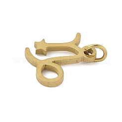 Anhänger aus chirurgischem Edelstahl 316l&nbsp;STAS-U058-01G-10