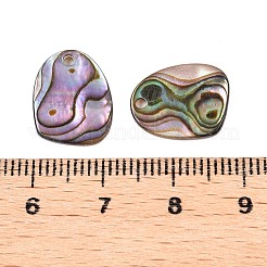 Natürliche Paua Muschelnuggets Charms&nbsp;SHEL-T020-11B