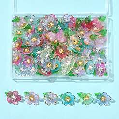 70шт прозрачные акриловые подвески&nbsp;PALLOY-FS00050