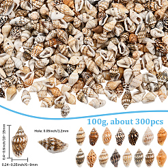 100 г натуральных ракушечных бусин BSHE-LT0001-04