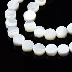 Нити бусин из натуральных трохоидных/трохус ракушек SSHEL-S266-002