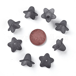 Прозрачные акриловые бусины&nbsp;PLF018-17