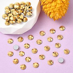 Preciosa® maxima crystal без горячей фиксации плоские камни&nbsp;Y-PRC-NSS12-00030-262