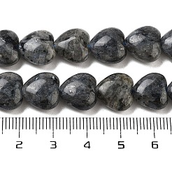 Натуральные нити бус из ларвикита G-B022-28C