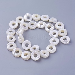 Нити бусин из ракушек SSHEL-E571-24