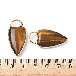 Природных тигровый глаз подвески&nbsp;G-I393-01G-06
