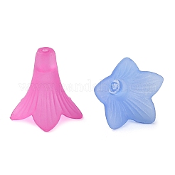 Прозрачные акриловые бусины FACR-Q009-15