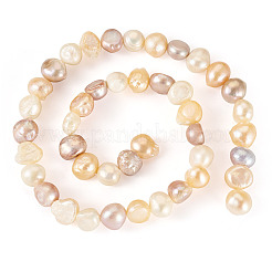 1 нить бусин из натурального культивированного пресноводного жемчуга PEAR-TA0001-17